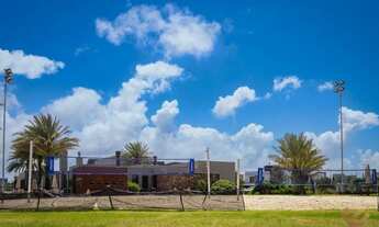 Imagem 7: Veredas | Fundos bosque