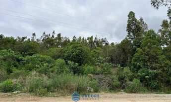 Imagem 4: Terreno RS122 com 29.096m² saida para Flores Cunha