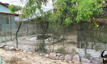 Imagem 7: SÍTIO A VENDA Chácara com venda por R$200.000