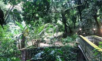 Imagem 7: Sítio à venda em Vargem Grande, Rio de Janeiro-RJ: 1 quarto, 1 suíte, 1 banheiro e 6.000 m