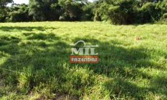 Imagem 3: Fazenda com 45 Alqueires (218 hectares) em Ipameri - Goiás