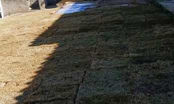 Imagem 6: Sitio 2 alqueires e Meio com casa , agua e energia