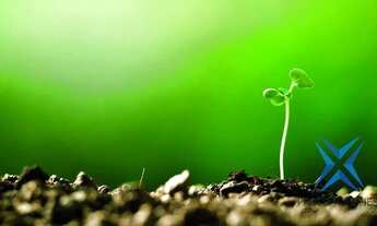 Imagem 4: Sala à venda, 40 m² por R$ 606.000,00 - Aldeota - Fortaleza/CE