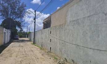 Imagem 4: Terreno/mosqueiro