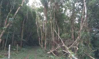 Imagem 5: Terrenao 4 mil mts com ribeirao 4 km da BR estudo auto