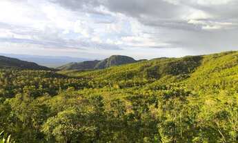 Imagem 3: Terreno na Chapada dos veadeiros