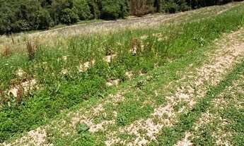 Imagem 2: Terreno à venda Ibiúna-SP