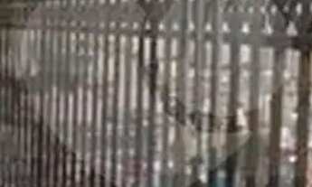 Imagem: Apartamento com 3 quartos à venda em Jardim