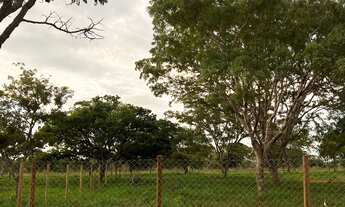 Imagem 4: Chácara 1000m - 14km Uberlândia