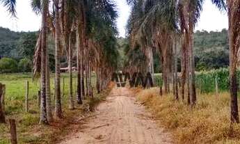 Imagem 4: Fazenda 23,5 Alqueires rica em água á venda por R$ 5.000.000 - Vila República - Goiás/GO