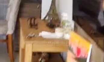 Imagem 3: Alugo casa terrea ingleses