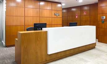 Imagem 3: Espaço de coworking para alugar em Regus SAO PAULO, Chacara Santo Antonio, Alexandre Dumas