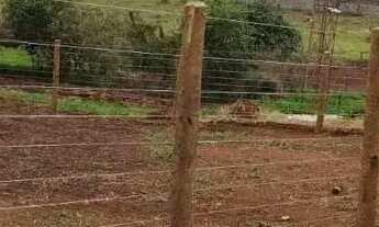 Imagem: Imóvel para venda tem 1000 metros quadrados