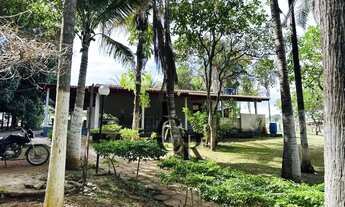 Imagem 4: Chácara em Bela Vista de Goiás - 2.98 alqueires