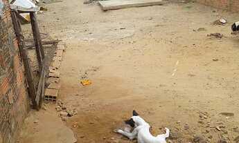 Imagem: Casa para venda