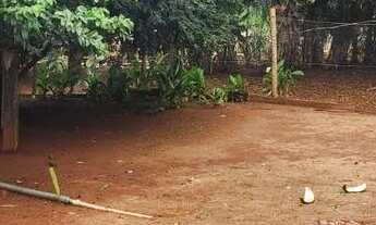 Imagem 3: Chácara de 2 alqueires e meio- Itaberai