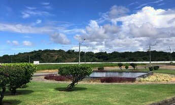 Imagem 6: Vendo lotes no Buena Vista Village - (Nas margens da BR 101