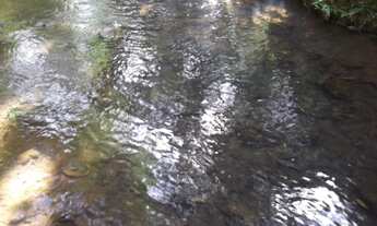 Imagem 5: Chácara de 5.000m² com córrego de águas cristalinas, Jaboticatubas (Temos varias opções)