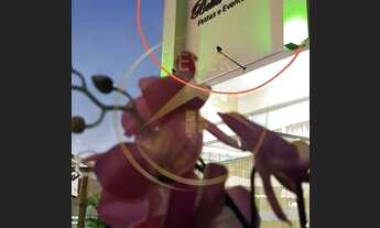 Imagem: Salão comercial a venda na cidade de Sumaré-SP