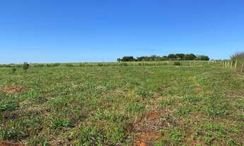 Imagem 6: Chácaras a venda em trindade próximo à Santa Maria !