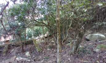 Imagem 5: Terreno no Pantano do sul com vista para o mar