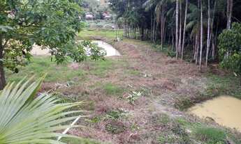 Imagem 3: Santa maria jequitibaES