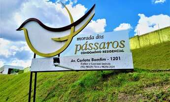 Imagem 5: Vende Lote/Terreno/282,04m²/Condomínio Residencial Morada dos Pássaros/Ponta Negra - Manau