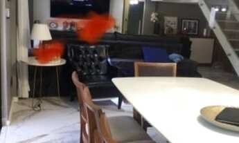 Imagem 7: Casa para venda possui 220 metros quadrados com 4 quartos