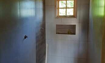 Imagem 3: Lindo Sitio em Godoy Moreira, São João do Ivaí, Boa Rentabilidade Gado e Soja