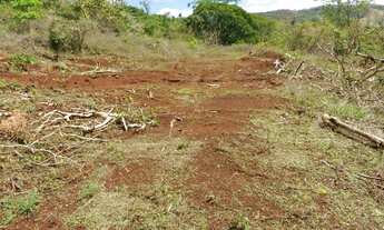 Imagem 3: Fazenda oportunidade em Barro Alto 125 alqueires