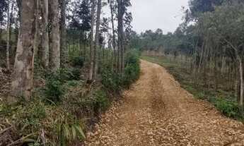 Imagem 6: Vende se chácara direto com o proprietário 8.000mts