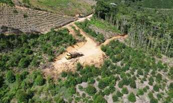 Imagem 4: Sitio em Domingos Martins (Melgaço