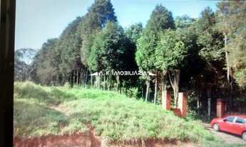 Imagem 7: São Paulo - Terreno Padrão - JARDIM D'ABRIL