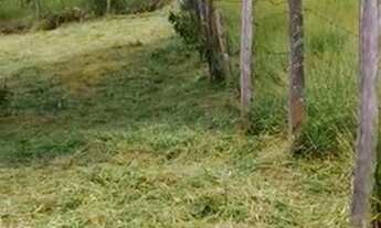 Imagem 3: Terreno à venda, 1000 m² por R$ 150.000,00 - Loteamento Chácaras Gargantilhas - Campinas/S