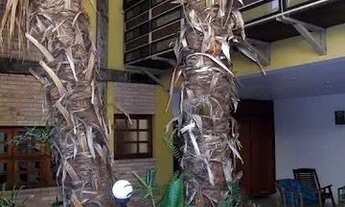 Imagem 6: Casa Sobrado em Jardim da Saúde - São Paulo