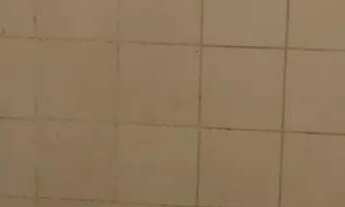 Imagem: Casa para alugar