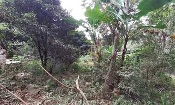 Imagem 7: Área à venda, 7000 m² por R$ 3.300.000,00 - Jardim Maristela - Atibaia/SP