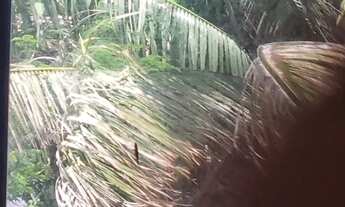 Imagem 4: Vendo 5 salas comerciais