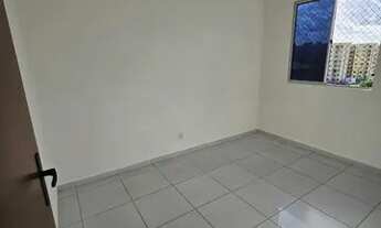 Imagem 6: Alugo apto centro de paulista- Aurora centro de Paulista