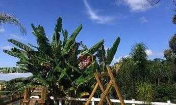 Imagem 4: Sítio com 2 dormitórios à venda, 14000 m² por R$ 680.000,00 - Sertãozinho - São José dos C