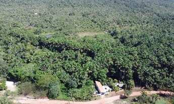 Imagem 4: Sitio a venda com 99 hectares com um riacho perene, balneário, casa a 33 km de Timon, opo