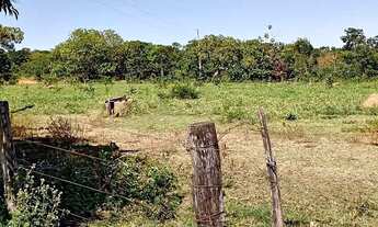 Imagem 7: Fazenda de 61 Alqueires ! Região de Estrela do Norte - GO !