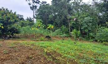 Imagem 6: Vendo terreno Terreno / lote com venda por R$8.000