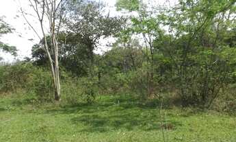 Imagem 4: Terreno Plano em Vendas das Pedras 5.069m²