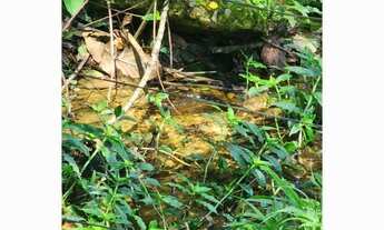 Imagem 7: SÍTIO - PIÃO - SP