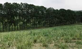 Imagem 3: Lote/Terreno para venda com 500 metros quadrados em Jardim Colonial - Atibaia - SP