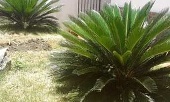 Imagem 2: Casa para alugar, 300 m², 3 Dormitórios, 1 Vaga