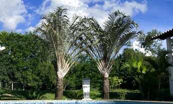 Imagem: Sítio de luxo para locação! Disponível