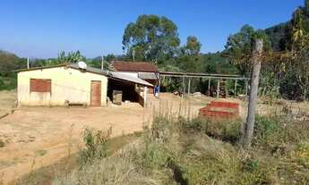 Imagem 3: Sitio com 5 Alqueires com 15 mil pés de Café em Monte Santo - Mau