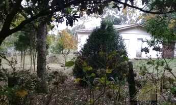 Imagem 2: CAXIAS DO SUL - Chácara - Ana Rech